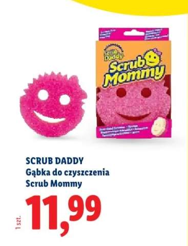 gąbka czyszcząca