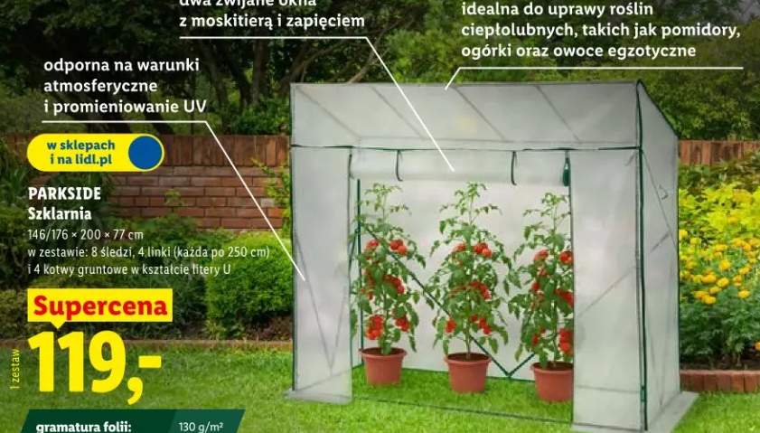 szklarnia ogrodowa