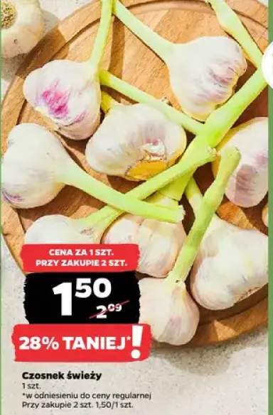 Czosnek świeży