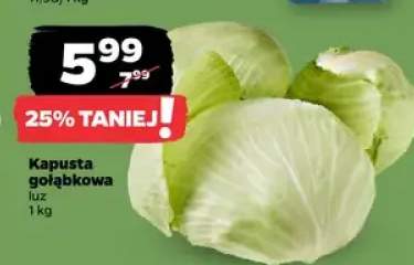 Kapusta gołąbkowa luz