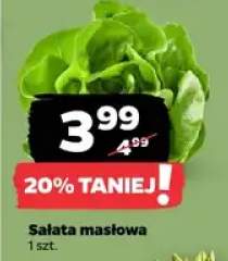 Sałata masłowa