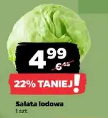 Sałata lodowa
