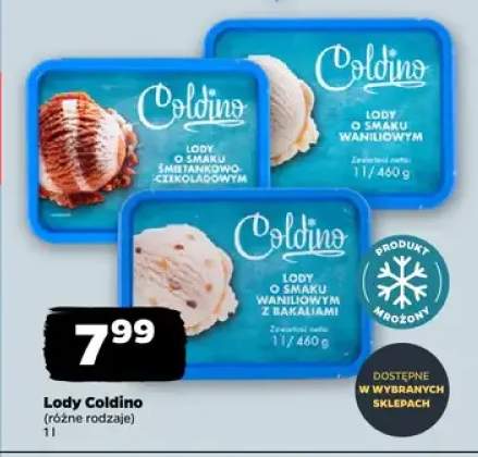 Lody różne rodzaje