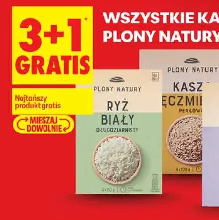 kasza
