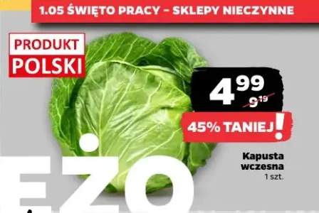 Kapusta wczesna
