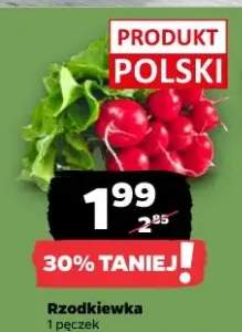 Rzodkiewka polska