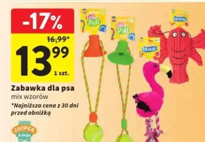 zabawka dla psa