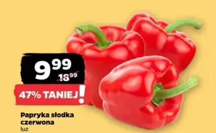 Papryka słodka czerwona luz