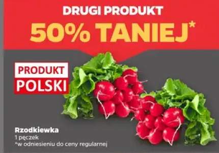 Rzodkiewka polska