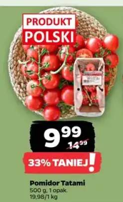 Pomidor Tatami polski