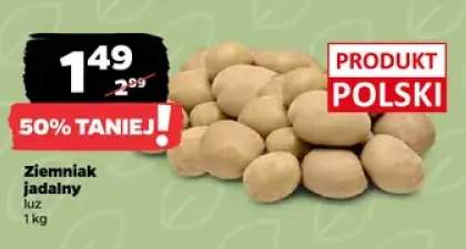 Ziemniak jadalny luz polski