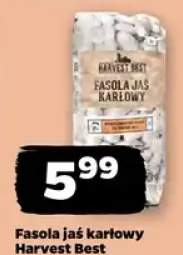 Fasola jaś karłowy Harvest Best