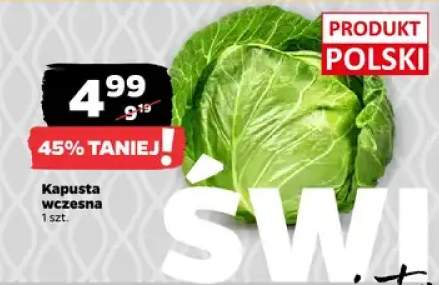 Kapusta wczesna polska