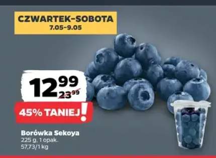 Borówka Sekoya