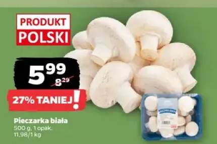 Pieczarka biała polska