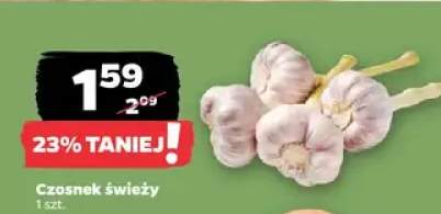 Czosnek świeży