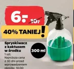 Spryskiwacz z kaktusem w środku