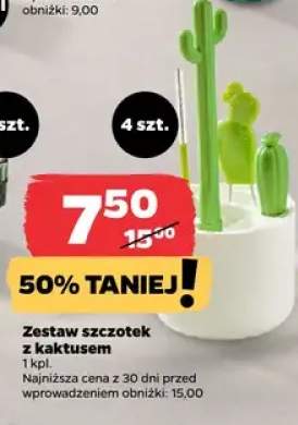 Zestaw szczotek z kaktusem