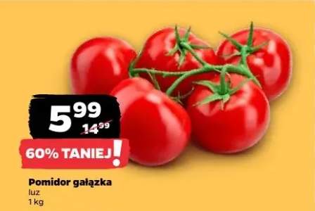 Pomidor gałązka