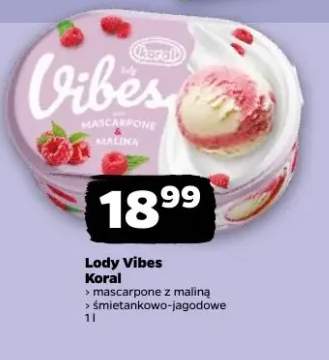 Lody Vibes śmietankowo-jagodowe Koral