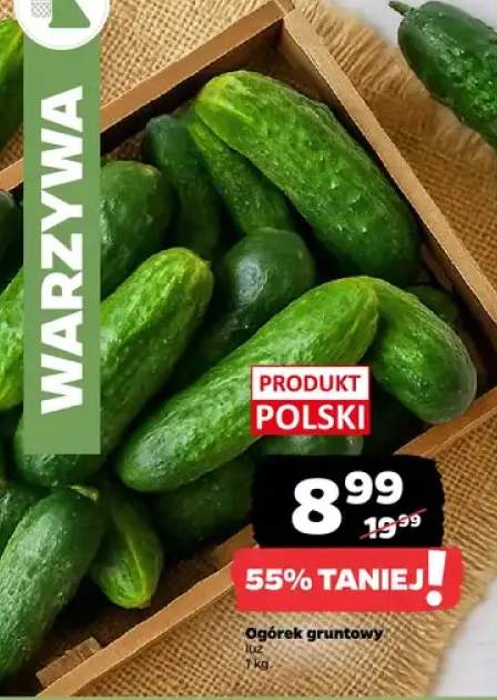 Ogórek gruntowy luz