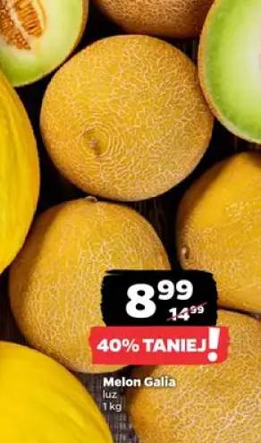 Melon Galia