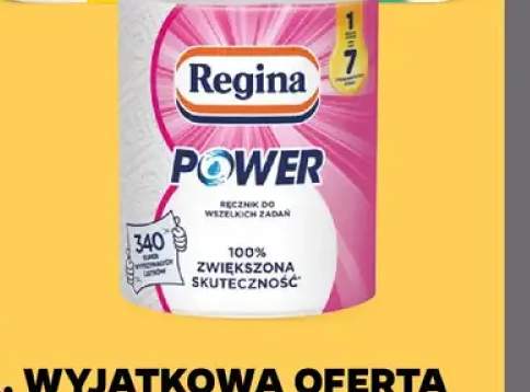 Ręcznik kuchenny Power Regina