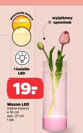 Wazon LED