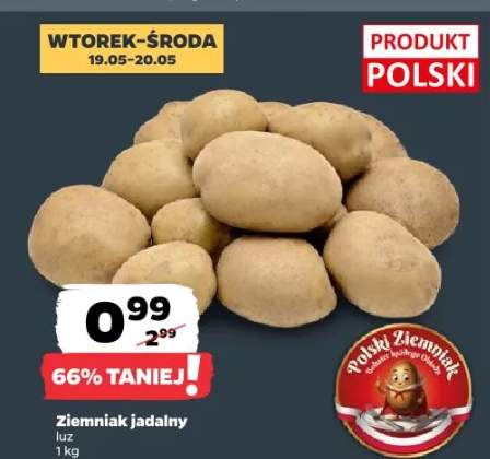 Ziemniak jadalny polski
