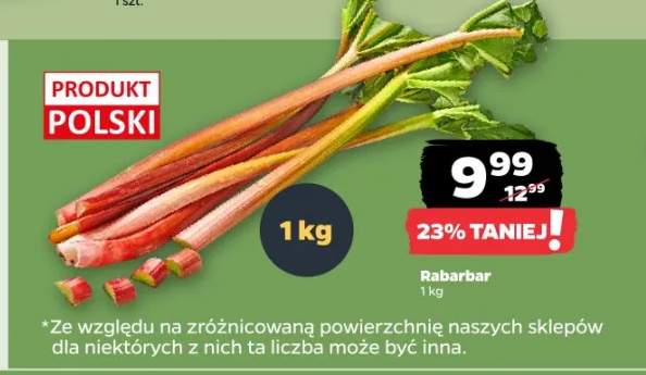 Rabarbar polski