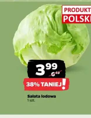 Sałata lodowa polska