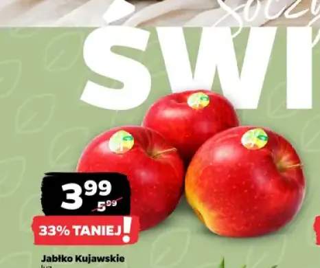 Jabłko Kujawskie luz