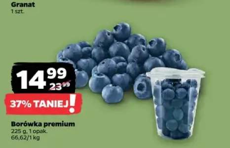 Borówka premium