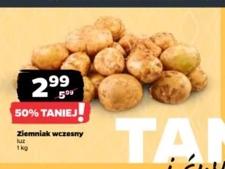 Ziemniak wczesny luz