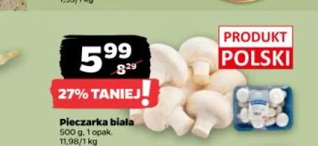 Pieczarka biała polska