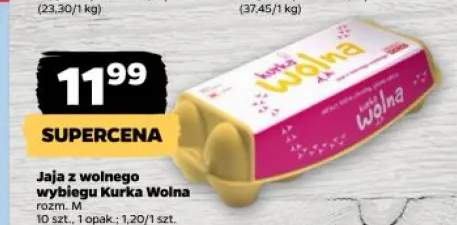 Jaja z wolnego wybiegu Kurka Wolna rozm. M