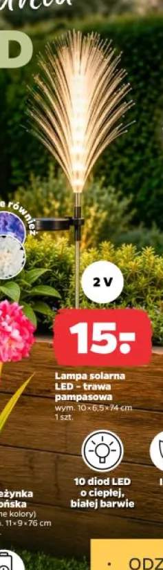 Lampa solarna LED trawa pampasowa IP44 2V 10 diod LED wym. 10x6,5x74cm