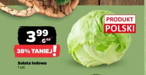 Sałata lodowa polska