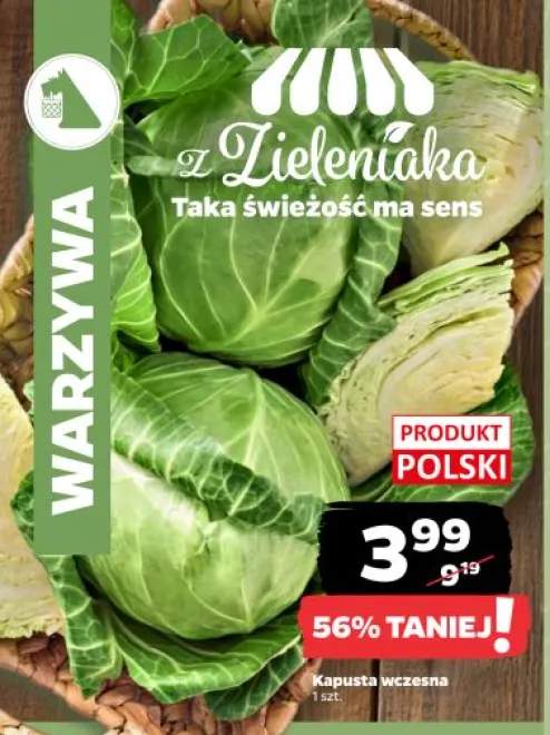 Kapusta wczesna polska