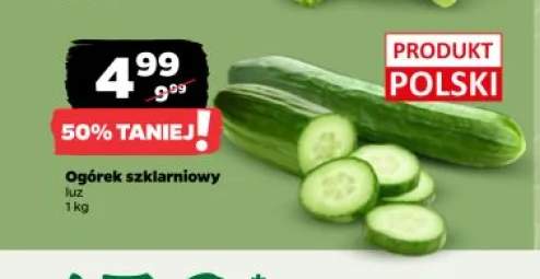 Ogórek szklarniowy polski