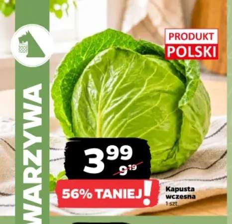 Kapusta wczesna polska