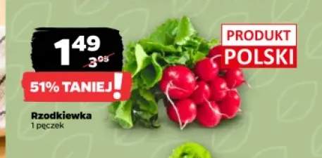 Rzodkiewka polska