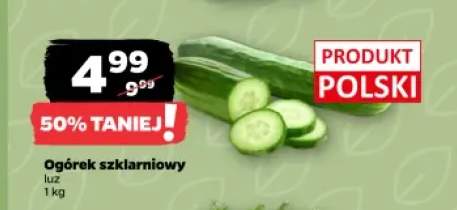 Ogórek szklarniowy polski