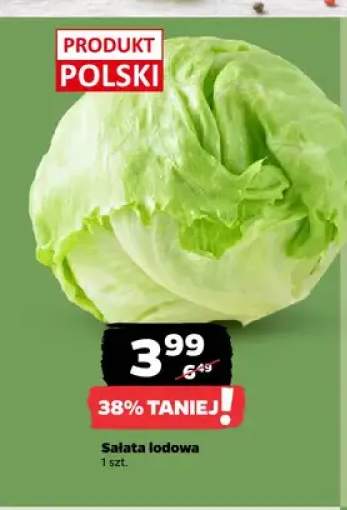 Sałata lodowa polska
