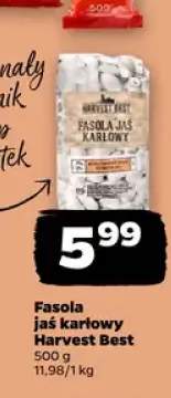 Fasola jaś karłowy Harvest Best