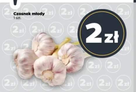 Czosnek młody
