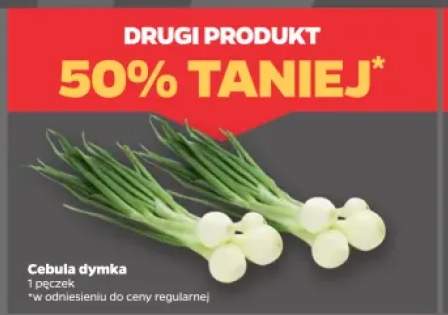 Cebula dymka