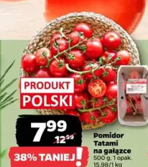 Pomidor Tatami na gałązce