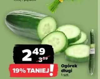 Ogórek długi