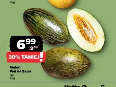 Melon Piel de Sapo